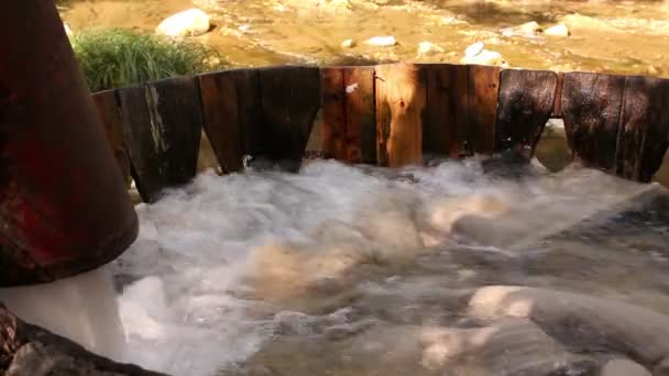 Ekologiska tvätt i naturen — Stockvideo