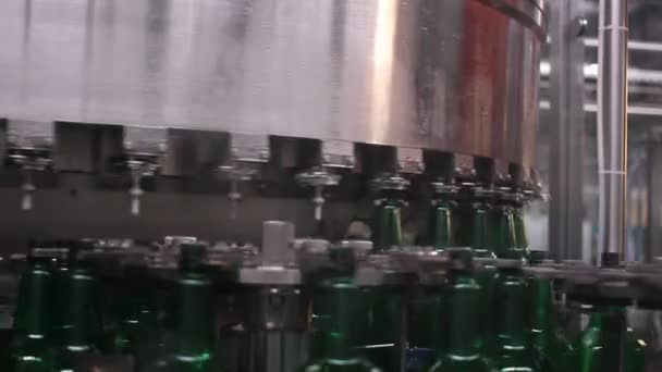 Technologische lijn voor het bottelen van het bier in brouwerij — Stockvideo