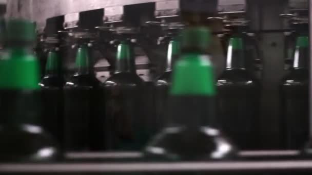 Teknisk linje för buteljering av öl i bryggeriet — Stockvideo