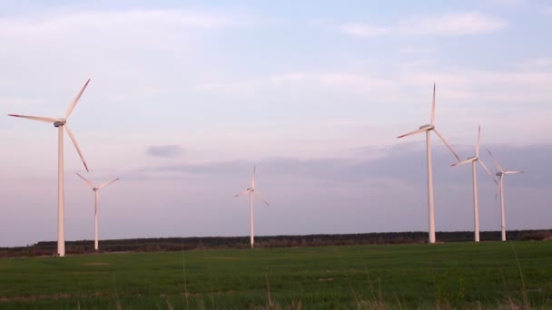 Campo com geradores eólicos — Vídeo de Stock