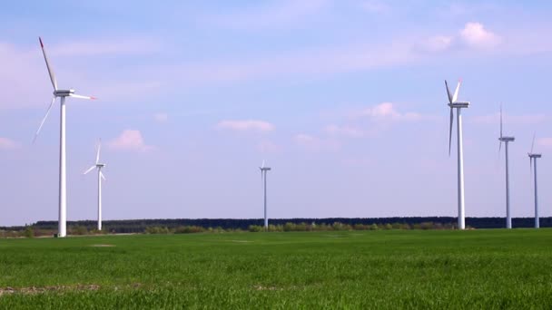 Fält med vindkraftverk — Stockvideo