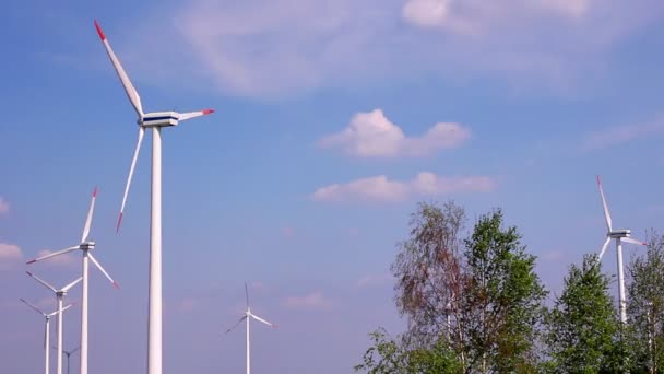 Veld met wind generatoren — Stockvideo