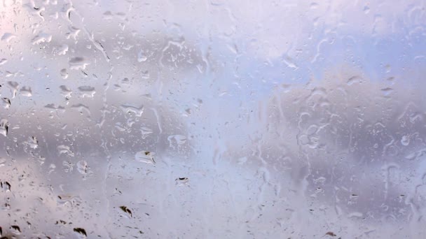 Gouttes de pluie sur verre de fenêtre — Video