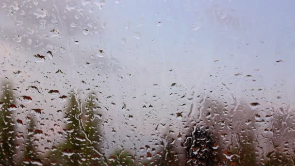 Krople deszczu na szybę okienną — Wideo stockowe