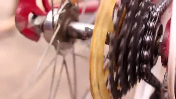 Engrenagens de bicicleta — Vídeo de Stock