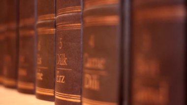 lüks deri ciltlenmiş kitap