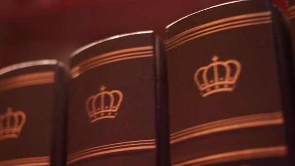 Boek met een luxe lederen binding — Stockvideo