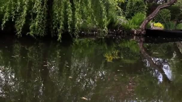 Gondol båt längs en kanal, — Stockvideo