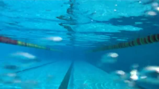 Un homme nage dans une piscine, la caméra est sous l'eau — Video