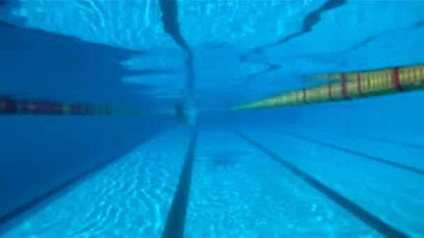 Un hombre está nadando mariposa en una piscina, la cámara está bajo el agua — Vídeos de Stock