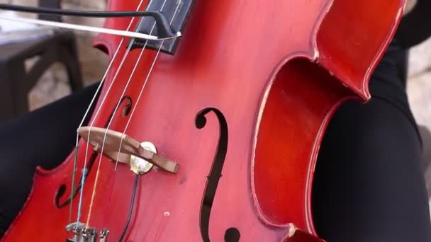 Musician play on cello — Stock Video