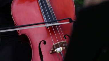 Çello müzisyen oynamak