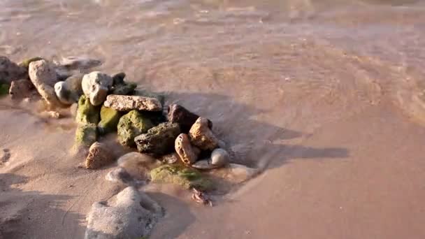 Surfa på vågen kissar sand och skal. gnistrar i solen. närbild — Stockvideo