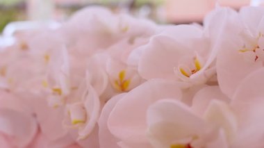 Düğün dekorasyon. parti dekorasyon.