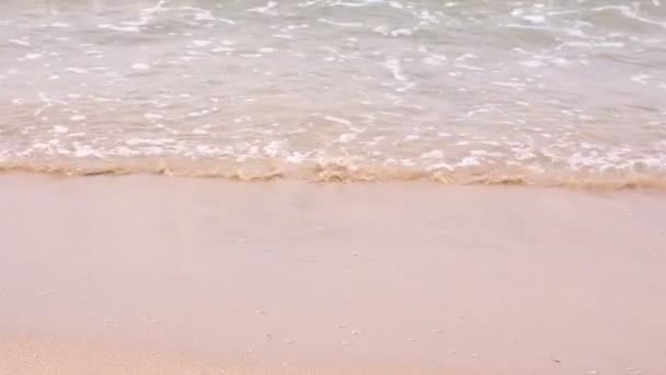 Spacer po plaży — Wideo stockowe
