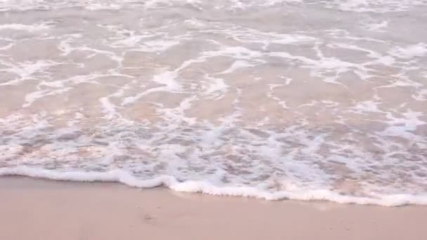 Caminar por la playa — Vídeo de stock