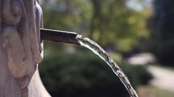 Park water fountain stream — Stock Video