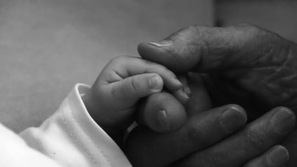 Hand in hand. grootmoeder houdt de hand van een pasgeboren baby — Stockvideo