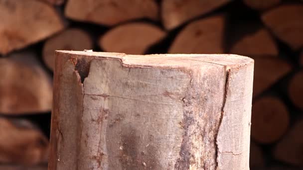Štěpkování dřeva, zblízka — Stock video