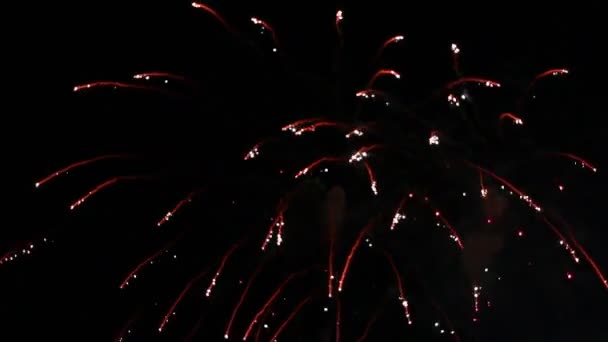 Fuegos artificiales en la noche de vacaciones — Vídeo de stock