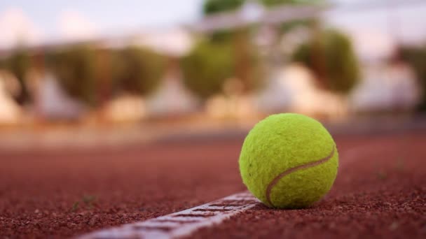 Tennisball — Stockvideo