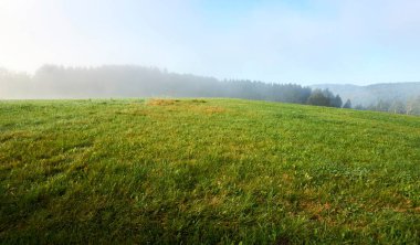 Sonbahar sezonu, vahşi ormanda gündoğumu sisli sis ve bulutlar.