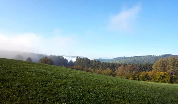 Temporada de otoño, bosque salvaje en el amanecer niebla brumosa y nubes — Foto de Stock