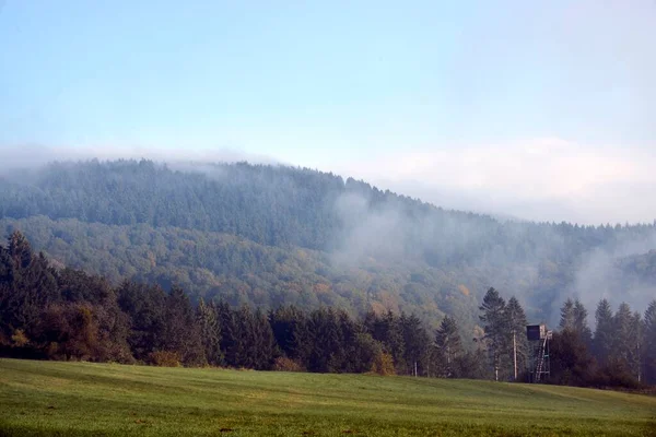 Φθινοπωρινής περιόδου, το άγριο δάσος στην Ανατολή του ηλίου misty ομίχλη και σύννεφα — Φωτογραφία Αρχείου