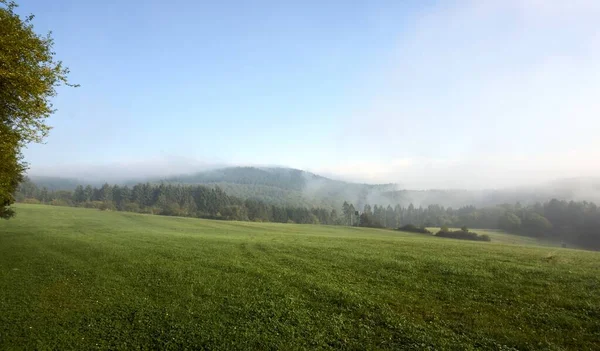 Podzimní sezóna, divokého lesa v sunrise mlha mlhy a mraky — Stock fotografie