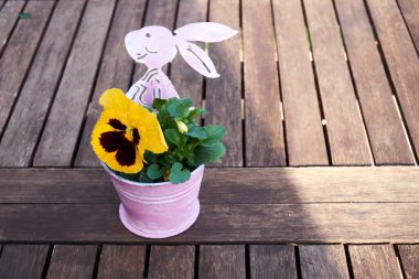 Tahta tabakta duran pembe bir Paskalya tavşanı ile çiçek saksısı.