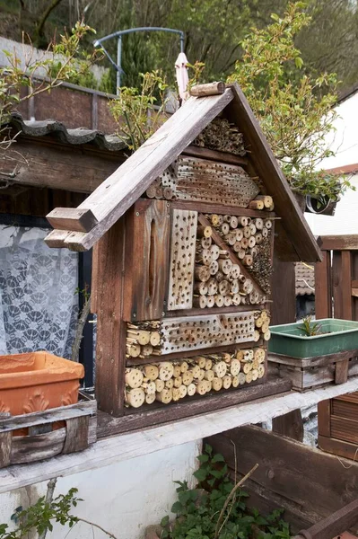 Vista para uma casa de insetos no jardim, proteção para insetos, chamado hotel de insetos, Insektenhotel . — Fotografia de Stock