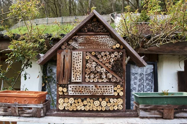 Vista di una casa di insetti in giardino, protezione per gli insetti, chiamato hotel per insetti, Insektenhotel . — Foto Stock