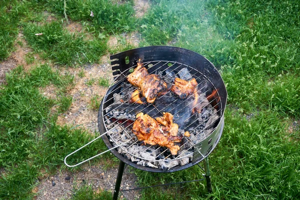 Assorted Delicious Grilled Meat Coals Barbecue — Stock Photo, Image