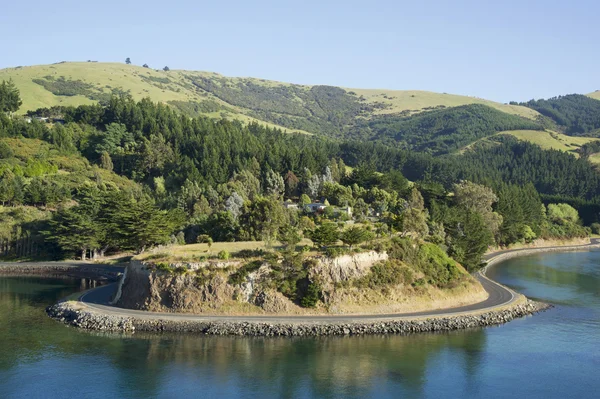New Zealand hills landscape — Stock Photo, Image
