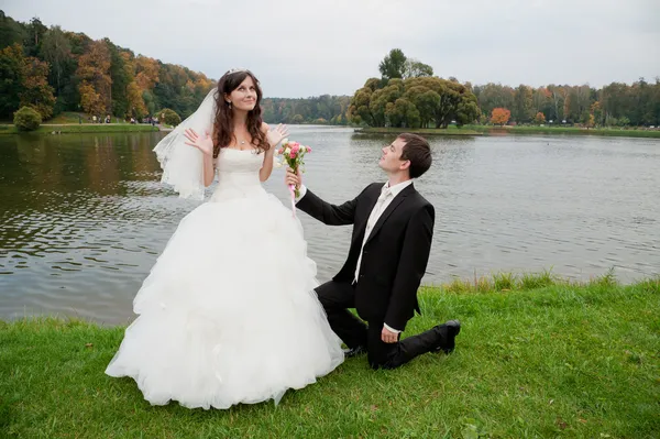 Novia y novio elegantes — Foto de Stock