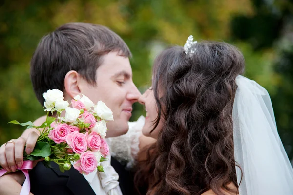 Pareja de boda — Foto de Stock