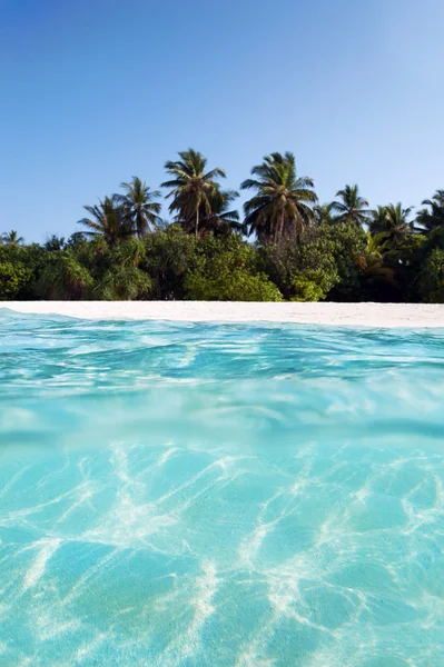 Shot of sand sea floor and palm island — Stock Photo, Image