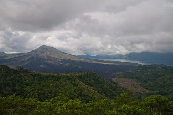 Volcano view with forest — Stock Photo, Image