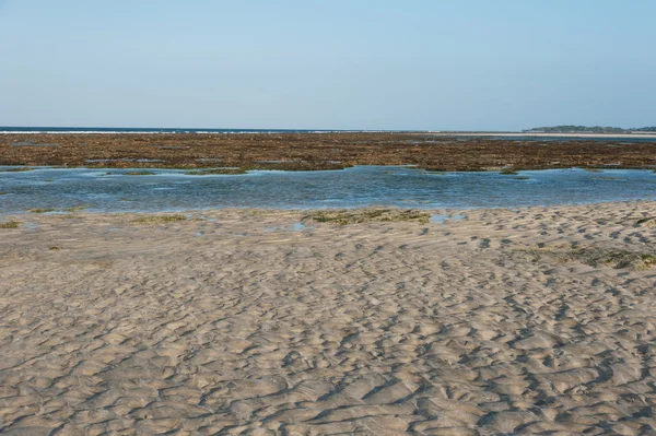 海の景色とビーチの黄色い砂 — ストック写真
