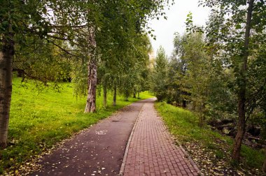 insanlar ve Bisiklet Park yolu