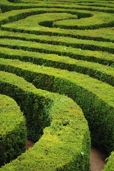 Labirinto em espiral — Fotografia de Stock