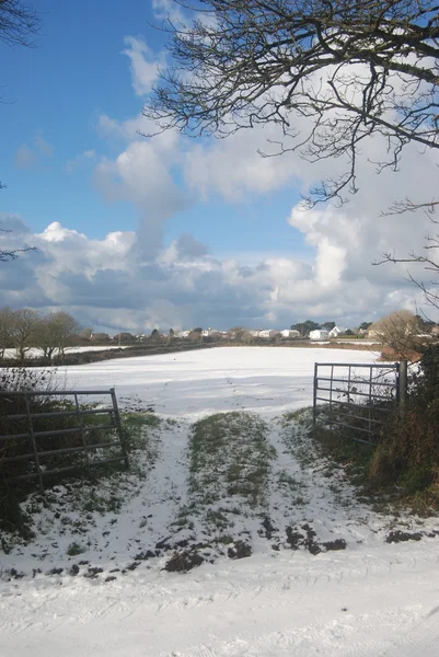 Terreno agricolo innevato — Foto Stock