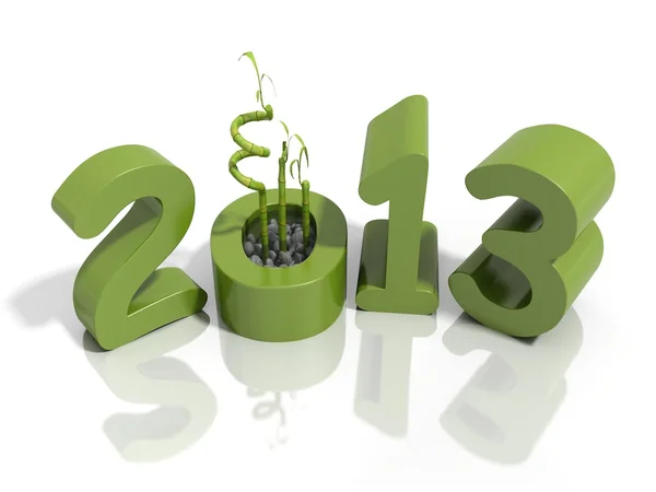 New year 2013 in green numbers with bamboo — Stock Photo, Image