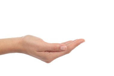 kadın el ile palmiye up