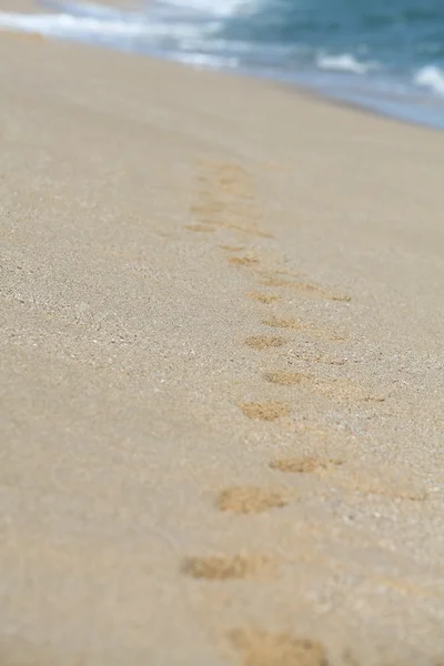 Achteraanzicht van een voetafdrukken op het zand op het strand — Stockfoto