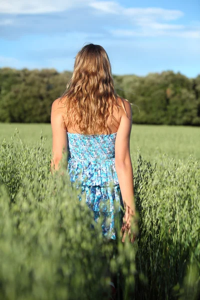 Vue arrière d'une femme marchant à travers une prairie d'avoine — Photo
