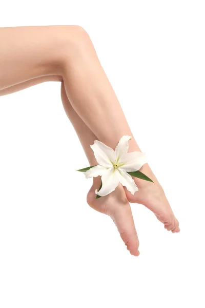 Piękna kobieta nogi trzyma kwiat biały — Zdjęcie stockowe