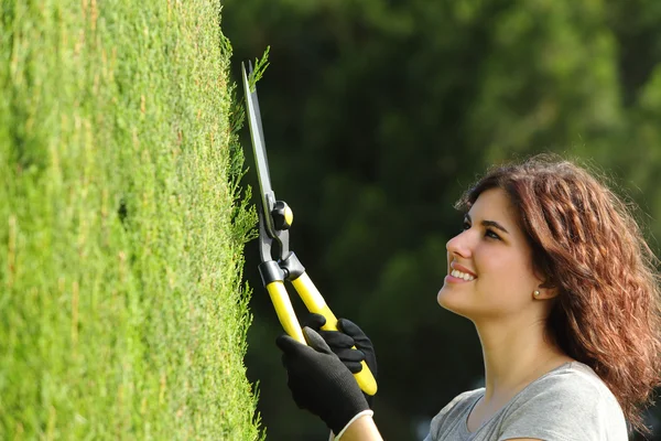 Close-up de uma mulher jardineiro podar um cipreste — Fotografia de Stock
