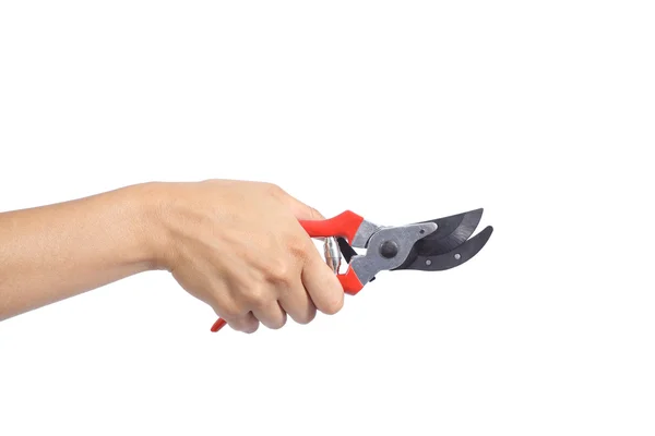 Woman hand holding a closed secateurs — Stock Photo, Image