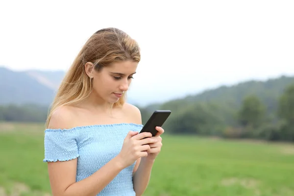 Koncentrerad Tonåring Ett Fält Med Hjälp Smarttelefon — Stockfoto